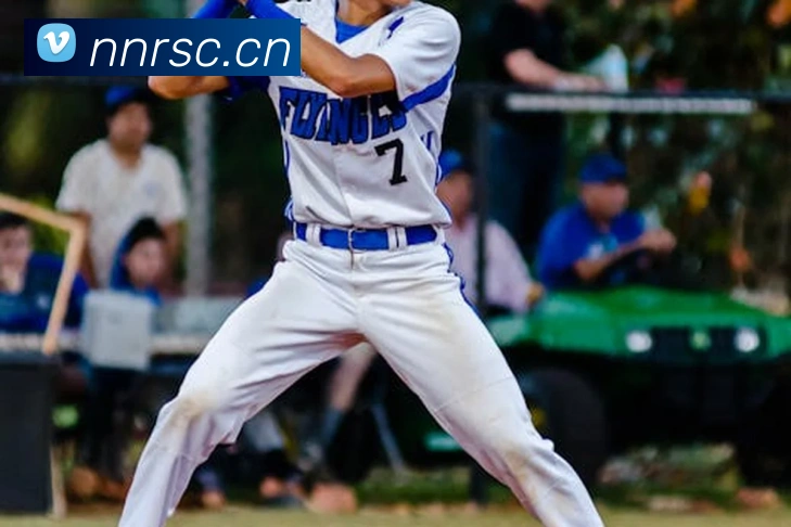 开云网页版登录入口手机版平台生态图